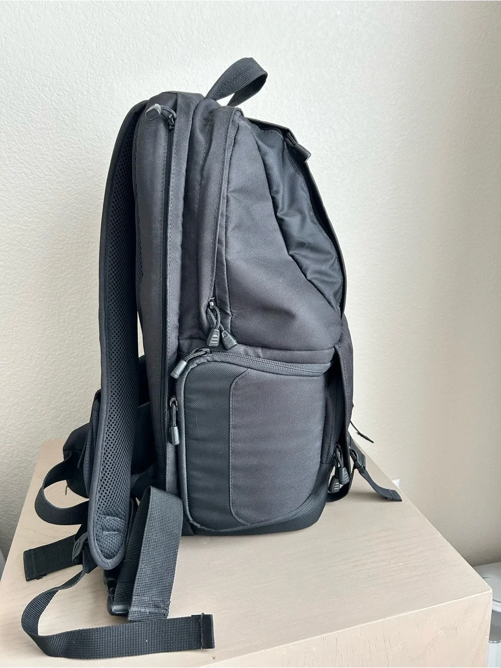 Lowepro Camera Backpack – Black